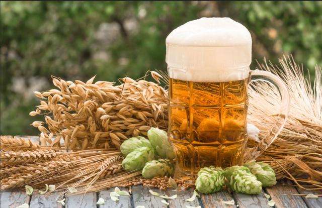 啤酒設(shè)備 啤酒設(shè)備