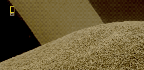 豪魯啤酒原料供應商 豪魯啤酒原料供應商