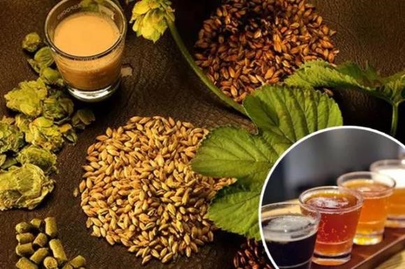 豪魯啤酒設(shè)備釀造不同口味的精釀啤酒 豪魯啤酒設(shè)備釀造不同口味的精釀啤酒