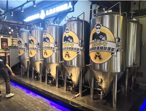 酒店型啤酒設(shè)備 酒店型啤酒設(shè)備